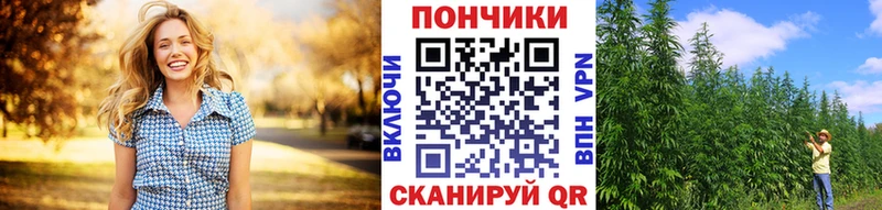 Марихуана Bruce Banner  где купить   Химки 